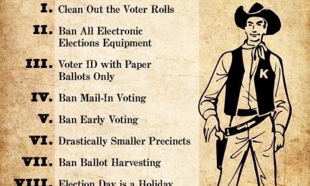 Here are the TEN STEPS to True Election Integrity